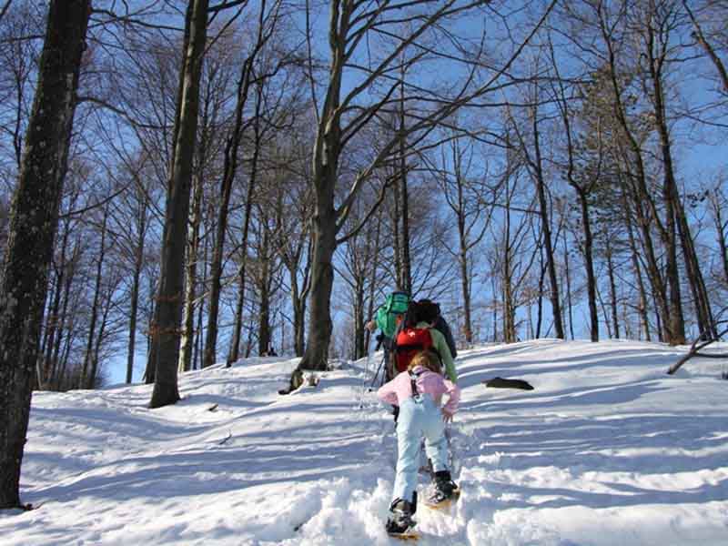 Snowshoeing in Beigua Park
